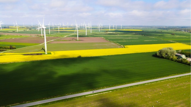 Reußenköge in Nordfriesland: Die Sonne scheint bei wechselhaftem Wetter auf ein Rapsfeld hinter dem Windräder stehen. 