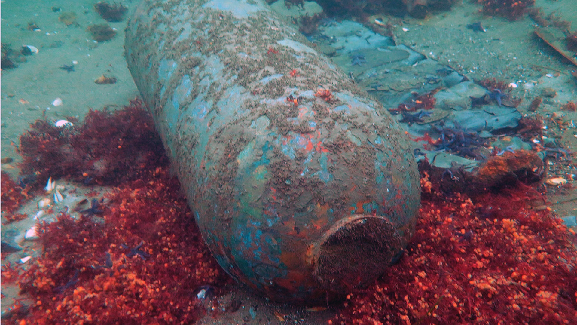 Ein versenkter Munitionsrest liegt in der Kolberger Heide am Ausgang der Kieler Förde in der Ostsee.