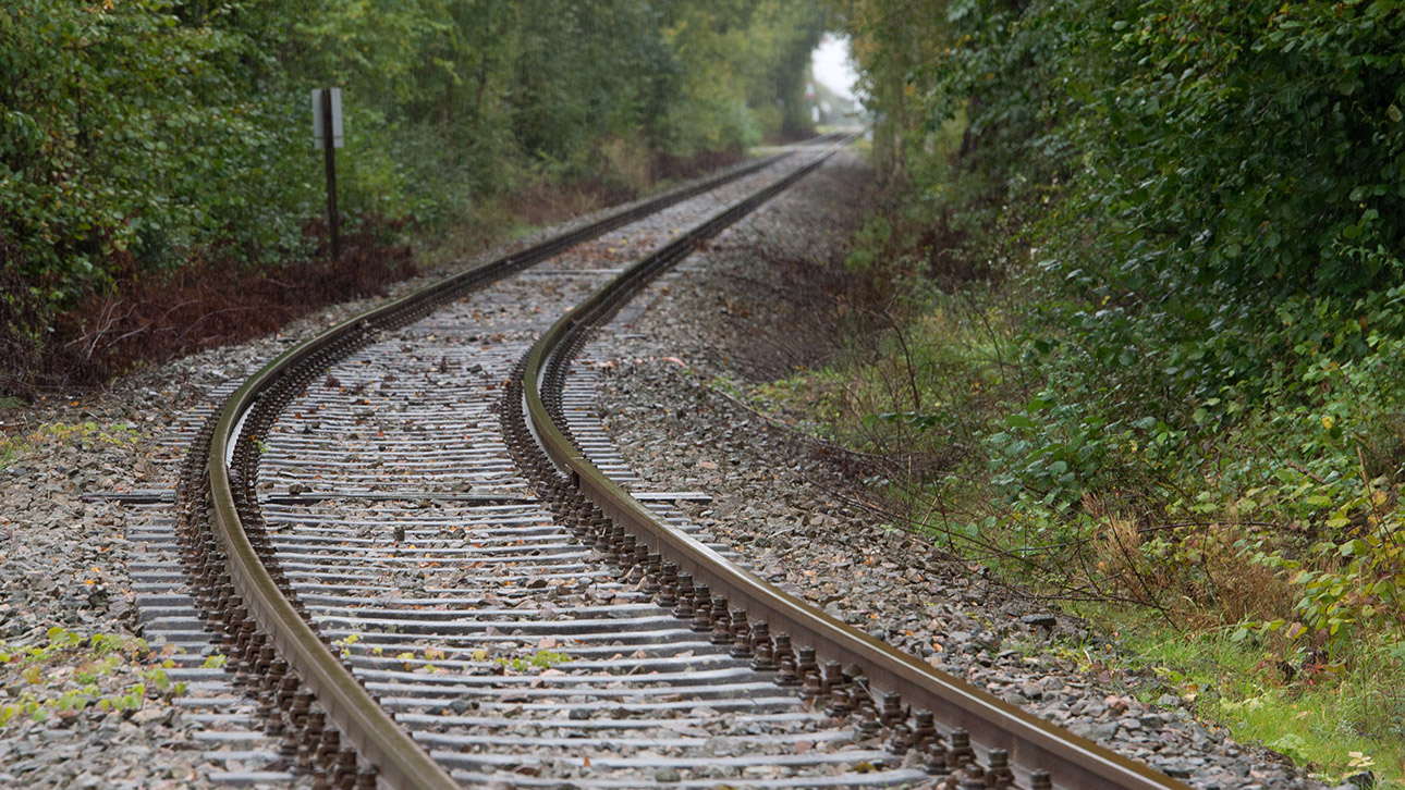 Ein Bahngleis auf einer Waldstrecke