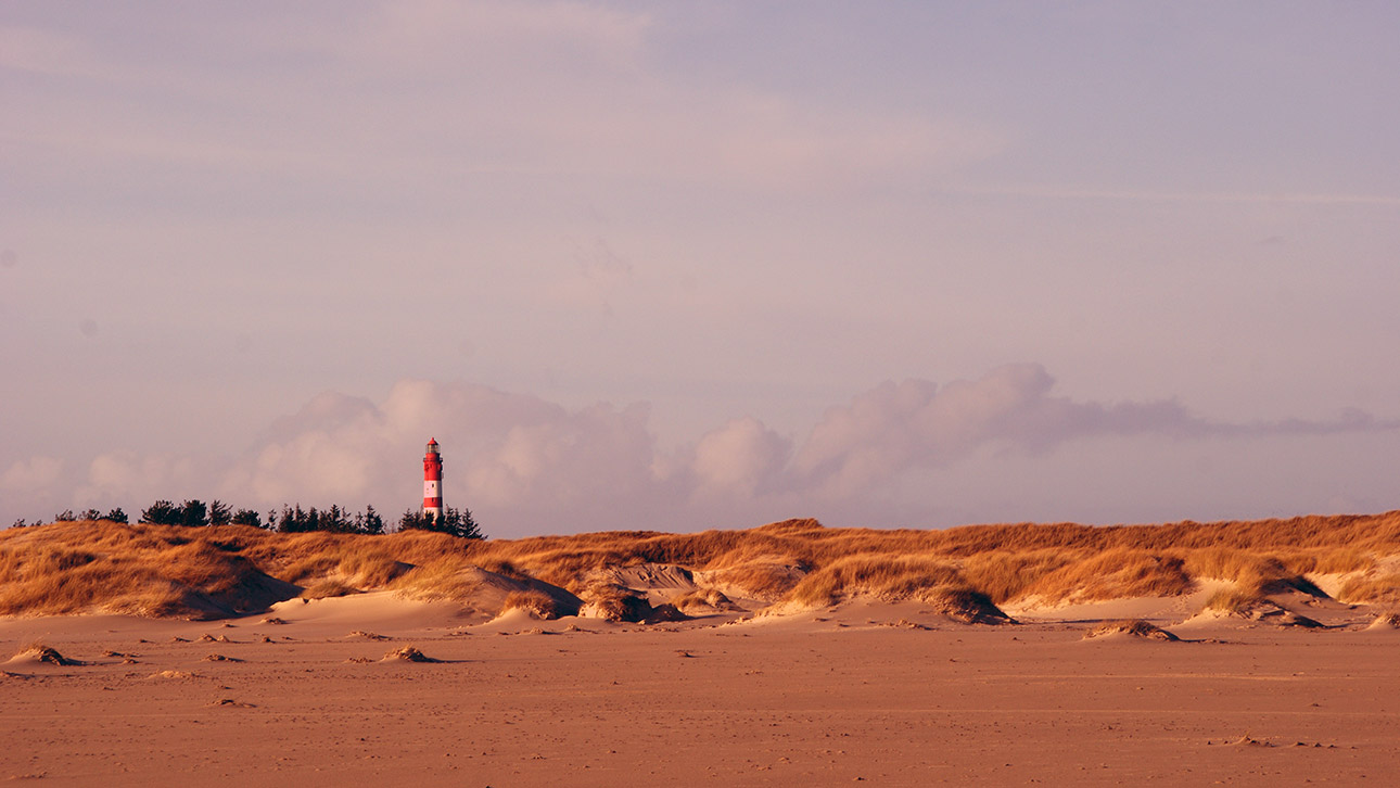 Amrum