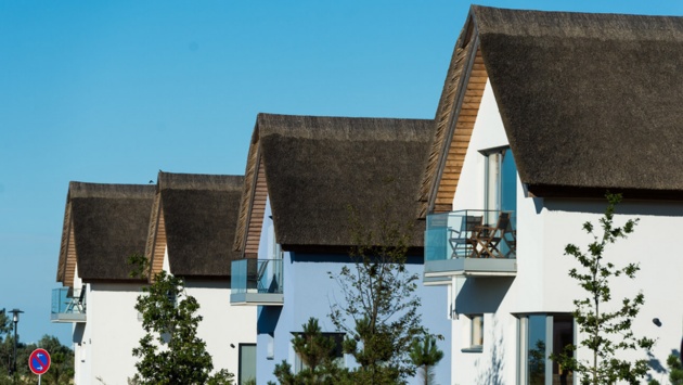 Vier reetgedeckte Ferienhäuser stehen in einer Reihe.