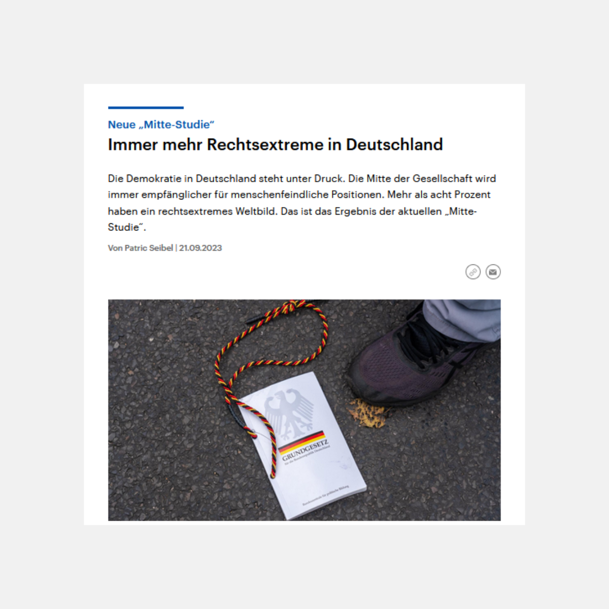 Screenshot des Artikels, ein Foto ist abgebildet, auf dem ein Grundgestz auf dem Boden leigt und ein Fuß daneben zu sehen